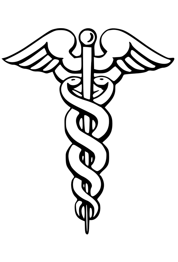 accountant